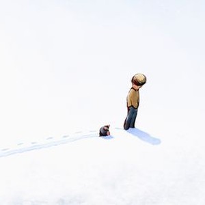 "The Boy, the Mole, the Fox and the Horse photo 10"