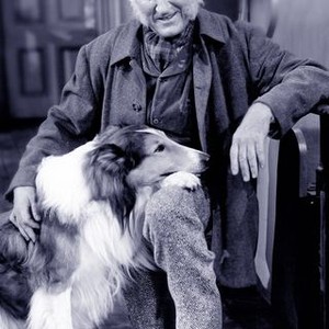 Challenge to Lassie (1949) photo 12