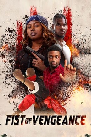 Fist of Vengeance poster