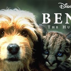 "Benji the Hunted photo 11"