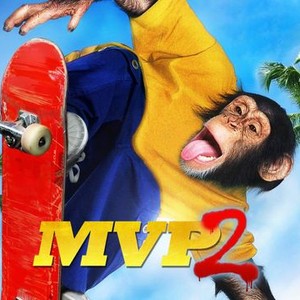 MVP2: Most Vertical Primate photo 8