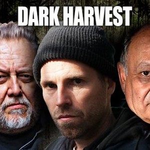 Dark Harvest photo 4