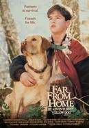 Far From Home: The Adventures of Yellow Dog poster image