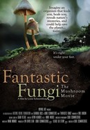 Fantastic Fungi poster image
