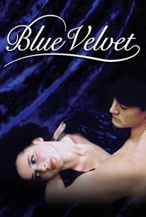Watch trailer for Blue Velvet