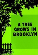 A Tree Grows in Brooklyn poster image