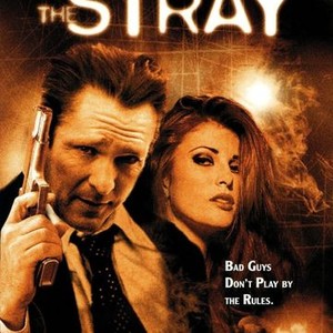 The Stray (2000) photo 9