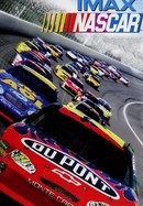 NASCAR poster image