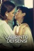 Poster for