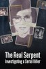 Poster for 