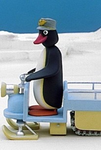 Pingu: Season 4, Episode 18 - Rotten Tomatoes