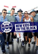 Rock This Boat: New Kids on the Block poster image