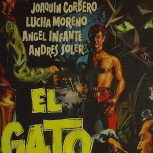 El gato (1961) - IMDb