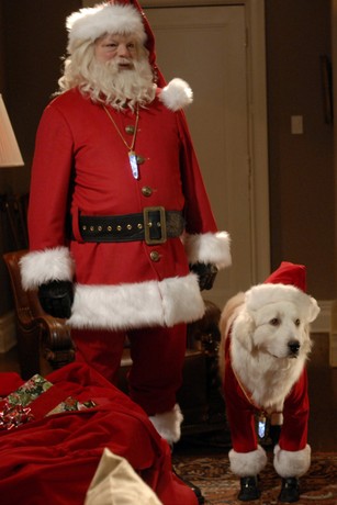 The Search for Santa Paws | Rotten Tomatoes