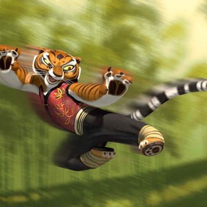 Kung Fu Panda photo 11