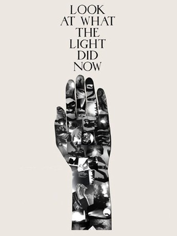 Look at What the Light Did Now | Rotten Tomatoes