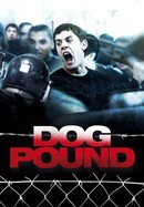 Dog Pound poster image