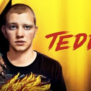 Teddy - Rotten Tomatoes