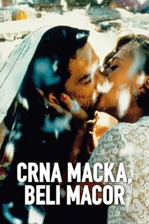 Crna macka, beli macor poster