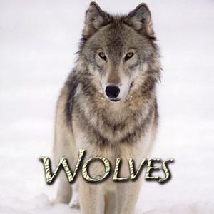 Wolves (1999) photo 3