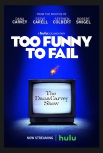 Too Funny To Fail poster