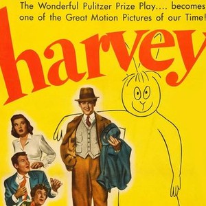 Harvey photo 7