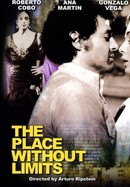The Place Without Limits poster image