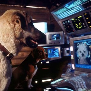 Cats & Dogs - Rotten Tomatoes