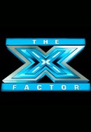 The X Factor poster image