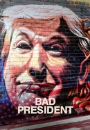 Bad President poster image
