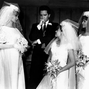 SPINOUT, Diane McBain, Elvis Presley, Deborah Walley, Shelley Fabares, 1966