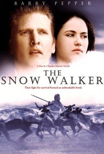 Poster for The Snow Walker
