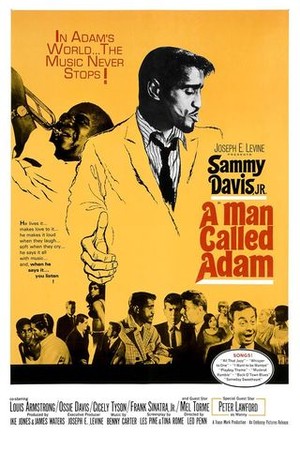 A Man Called Adam poster