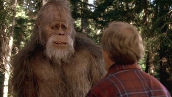 Harry and the Hendersons - Rotten Tomatoes