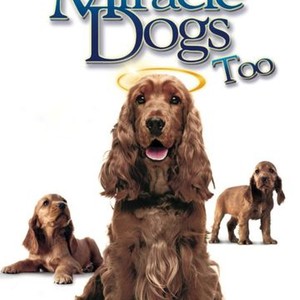 Miracle Dogs Too photo 6