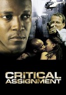 Critical Assignment poster image