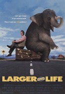 Larger Than Life poster image