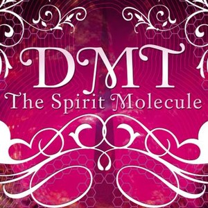 DMT: The Spirit Molecule photo 6