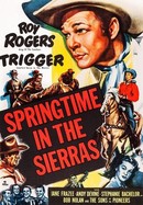 Springtime in the Sierras poster image