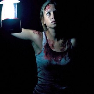 The Silent House (2010)