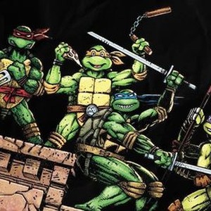 Turtle Power: The Definitive History of the Teenage Mutant Ninja Turtles photo 15