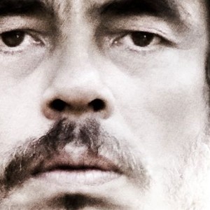Che: Part Two