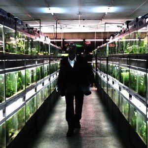 Cold Fish (2010) photo 17