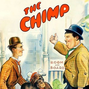 The Chimp photo 8