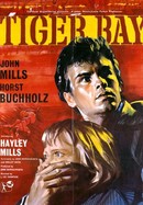 Tiger Bay poster image