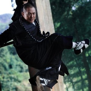 The Sorcerer and the White Snake (2011)