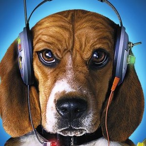 "Cats &amp; Dogs photo 18"