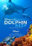 Disneynature: Dolphin Reef poster image