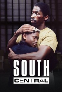 South Central poster