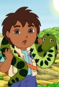 Go, Diego, Go!: Season 1, Episode 14 - Rotten Tomatoes